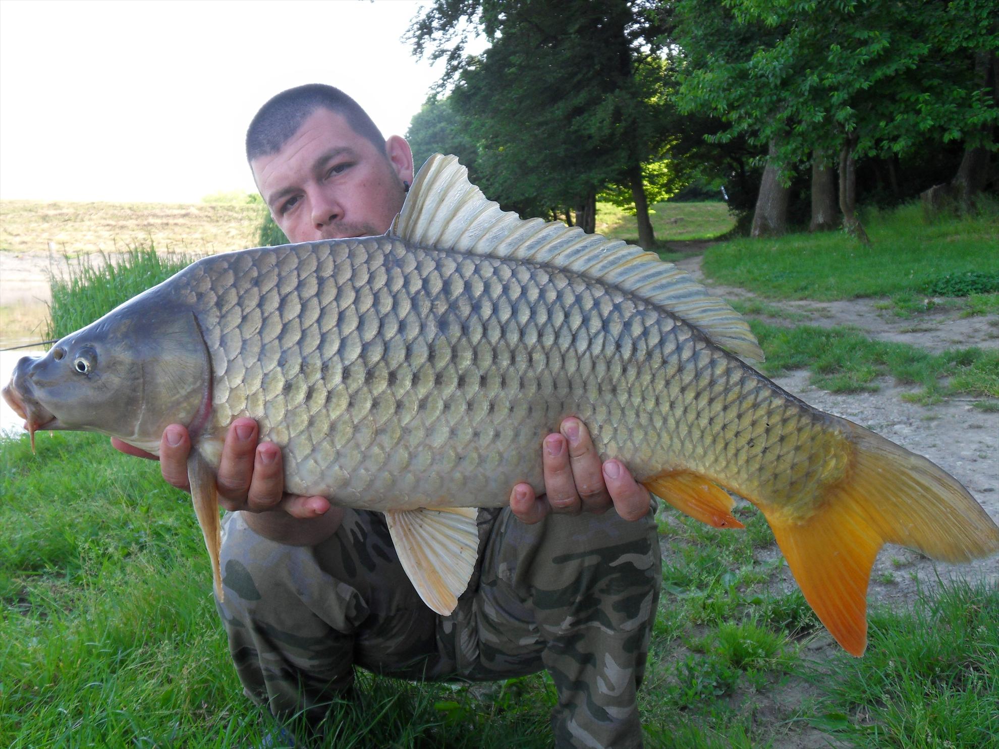 Cetariu 2011 - cetariu2011-124.JPG